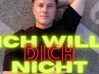 Daniel Sommer - Ich will dich nicht